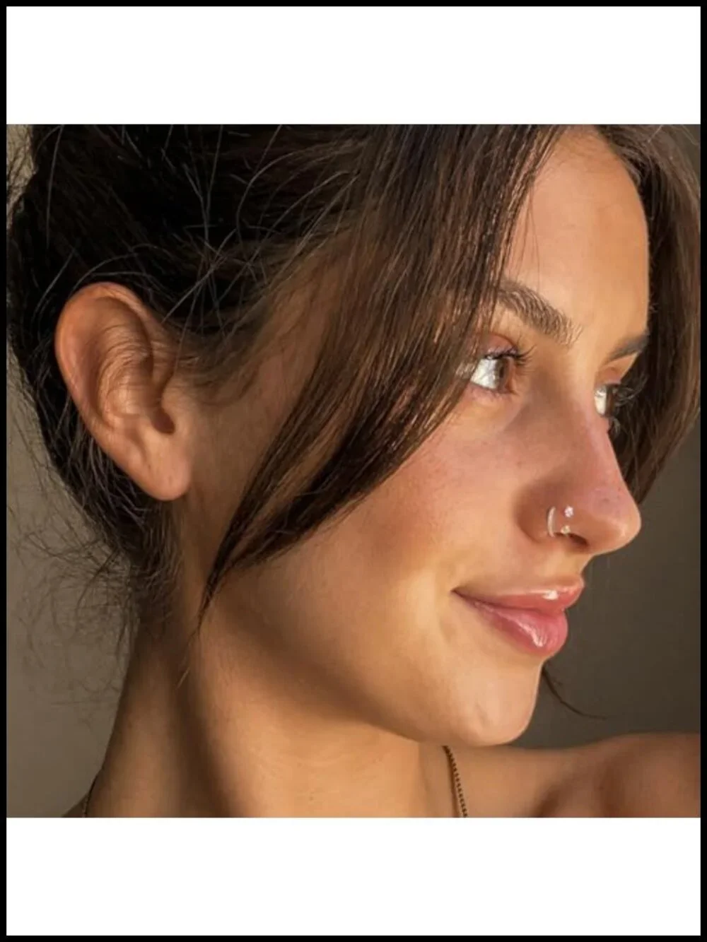 Titanium Horseshoe Nose Ring Double Gem Hypoallergenic Piercing Jewelry with